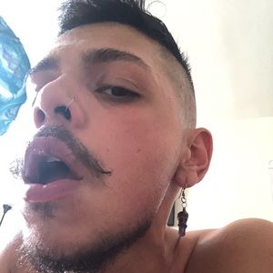 Meet your Posher, Wilber